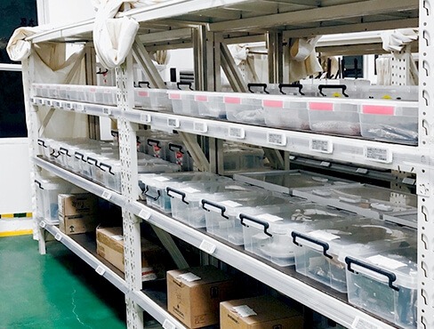 case-study-6-esl-tag-saudi.com