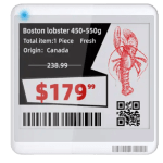 esltag-saudi.com-esl-mw-stag42r-4-2inch-esl-paper-tag-1