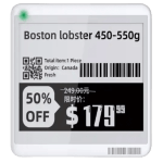 esltag-saudi.com-esl-mw-stag42r-4-2inch-esl-paper-tag-1